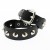 1 Row Conical Studs Leather Wristband